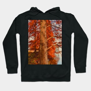 Red Autumn Tree on the lake in Zurich Hoodie